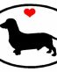 Oval Dachshund Decal