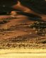 Sand and Deserts Vinyl Wall Graphics 26