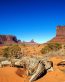 Sand and Deserts Vinyl Wall Graphics 48