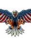 screamin-american-eagle 77