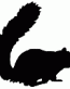 Copy of squirrel decal 5