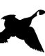 Flying Canada Goose Adhesive Decal