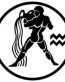 Aquarius Decal