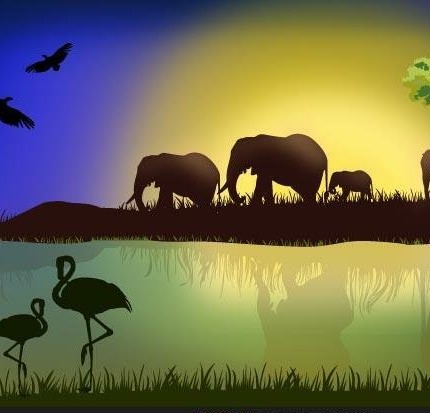 African Animal Stickers COLOR 1