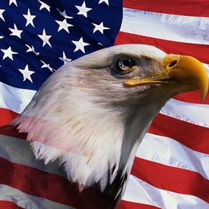 American-Flag-and-bald-eagle STICKER 3