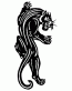 Panther