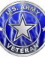 ARMY VETERAN lightning blue