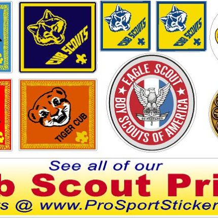 boy scout PINEWOOD DERBY decal pack 1