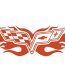 Corvette Flames Back Auto Graphics