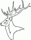Deer Decal 02