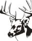 Deer Head 2 Decal