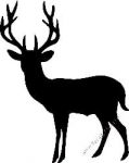 Deer Hunting Decal Sticker 20