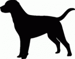 Dog Breed Decal 63