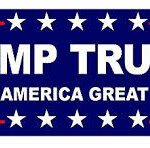 DUMP TRUMP STICKER 7