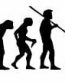 Evolution Sport Stickers LACSOSSE