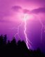 Forces of Nature Adhesive Wall Art 22