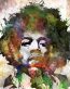 Jimmy Hendrix BAND Sticker 44