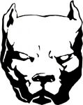 Pitbull Vinyl Car Decal 15