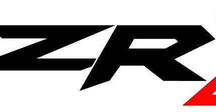 POLARIS RZR LOGO COLOR STICKER