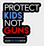 Protect Kids Not Guns Sticker