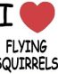 R&R I  LOVE FLYING SQUIRRELS STICKER