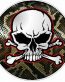 SKULL CIRCULAR FILLS Skin Snake