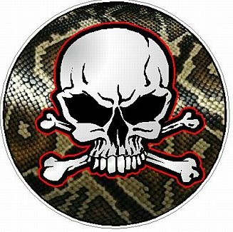 SKULL CIRCULAR FILLS Skin Snake