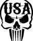 SKULL USA DIE political CUT DECAL