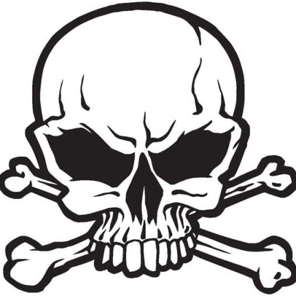 Skull Decal Sticker 02