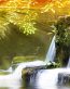 Fairies and Fantasy Wall Graphics 180