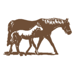 Horses 2 vinyl car decal