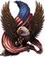 American-eagle Bald-Eagle-American-Flag