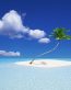 Beaches and Coastal Vinyl Wall Graphics 063