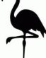 Bird Decals -12