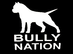 BULLY NATION DIE CUT DECAL