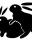 Bunnies makin Bunnies Vinyl Decal