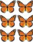 butterfly sticker MONARCH - 6 PACK