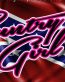 country girl rebel and deer sticker