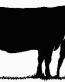 Cow with Calf Vinyl Decal
