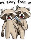 criminal raccoon_30