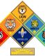 cub scouts RANKS STICKER tan arrow