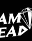 diamond head die cut band decal
