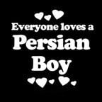 Everyone Loves an Persian Boy