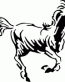 Horse Decals -52