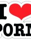 i love porn funny car xxx sticker