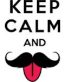 keep calm and stache sticker