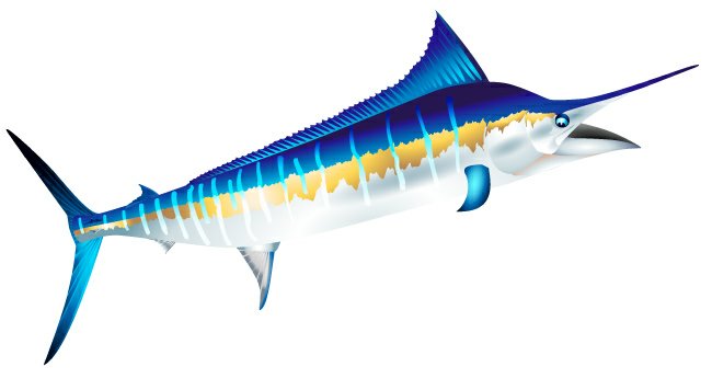 Marlin Decal, Blue Marlin Fishing Decals, Fishing Stickers, Marlin