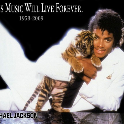 Michael Jackson Tiger Color Band Decal