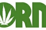 NORML Bumper Sticker