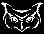 owl-face-car-window-decal